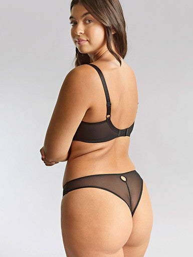 Panache Tango Essence Bra at Capri  Launceston Lingerie, Sleepwear & Swimwear Tasmania affordable