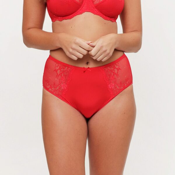 Lingadore Daily High Waist Red Brief