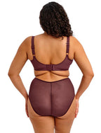 Elomi Zarla Brief