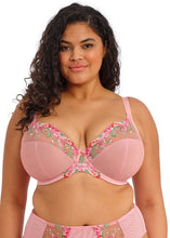 Load image into Gallery viewer, Elomi Aerith Rose Underwire Plunge Bra
