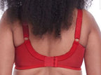 Goddess Kayla Love Story Bra