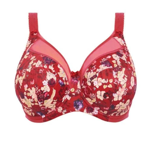 Goddess Kayla Love Story Bra