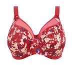 Goddess Kayla Love Story Bra