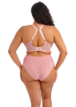 Load image into Gallery viewer, Elomi Aerith Rose Underwire Plunge Bra
