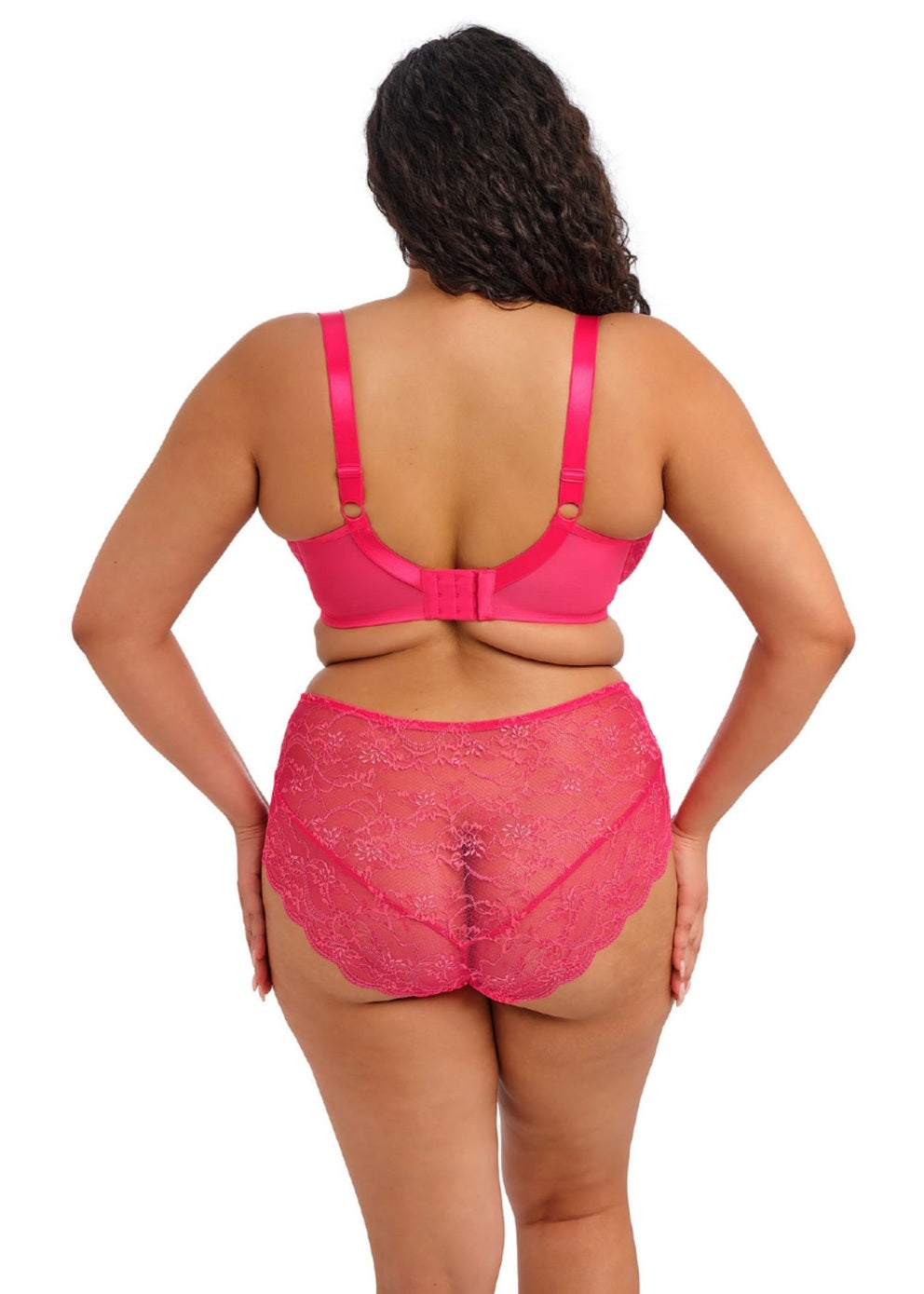 Capri Lingerie, Sleepwear & Swimwear Launceston Tasmania Elomi Darcie Azalea Brief