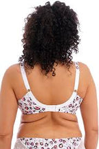 Capri Lingerie, Sleepwear & Swimwear Launceston Tasmania Elomi Lucie White Rumble Plunge Bra