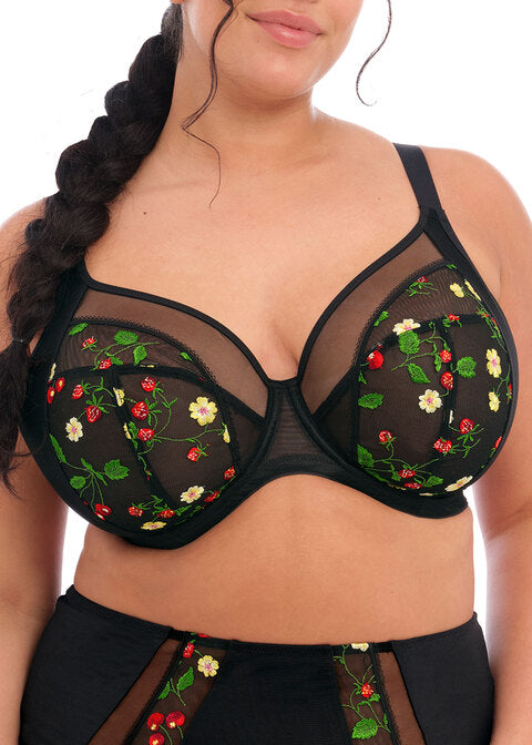Clearance Elomi Samira Plunge Bra