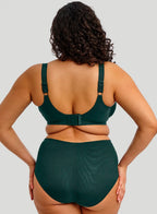 Capri Lingerie Sleepwear & Swimwear Launceston Tasmania Elomi Cate Comfortable Supportive Curvy Bra