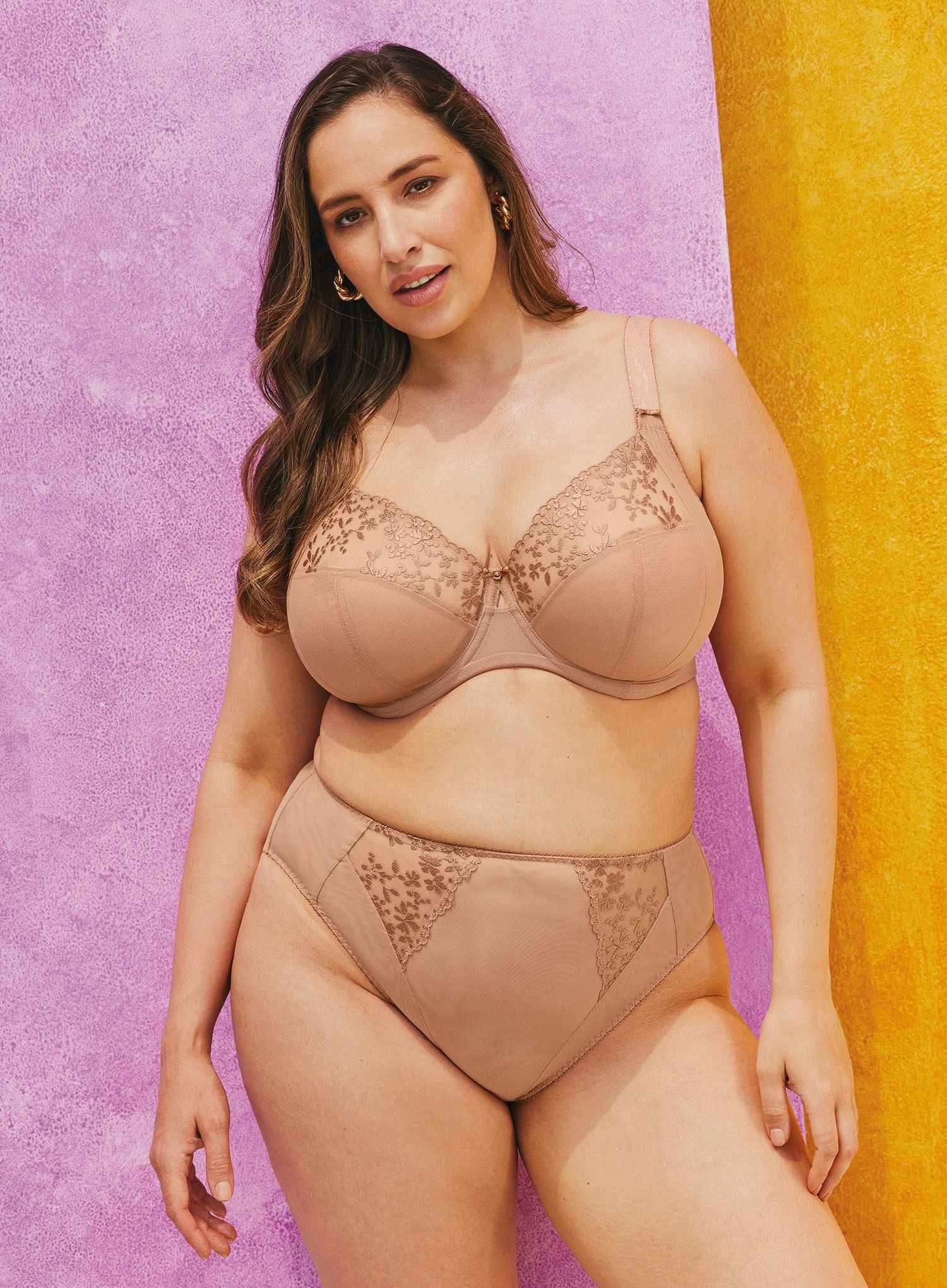 Capri Lingerie Sleepwear & Swimwear Launceston Tasmania Elomi Zarla Comfortable Supportive Curvy Brief Cafe au lait