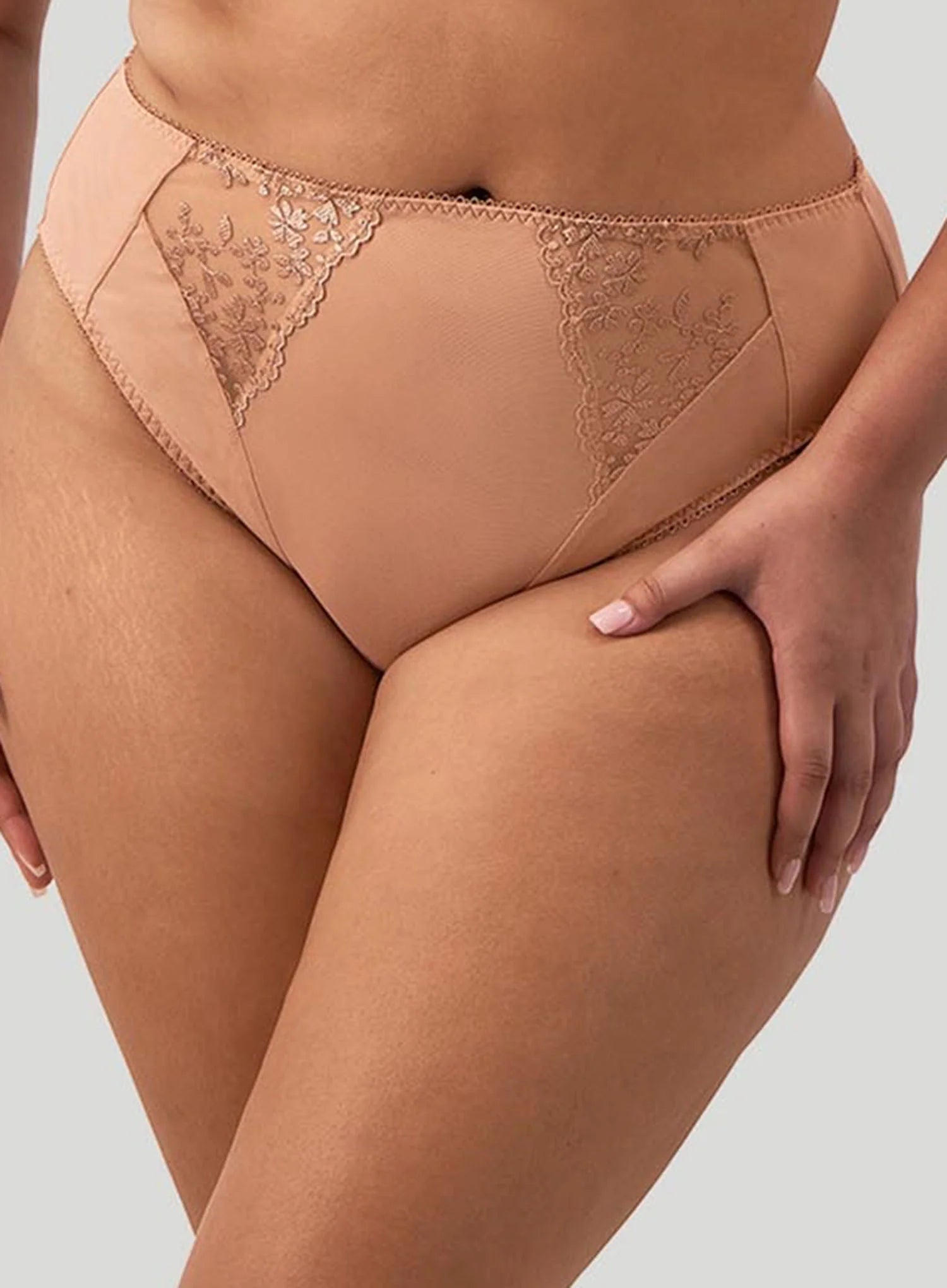 Capri Lingerie Sleepwear & Swimwear Launceston Tasmania Elomi Zarla Comfortable Supportive Curvy Brief Cafe au lait