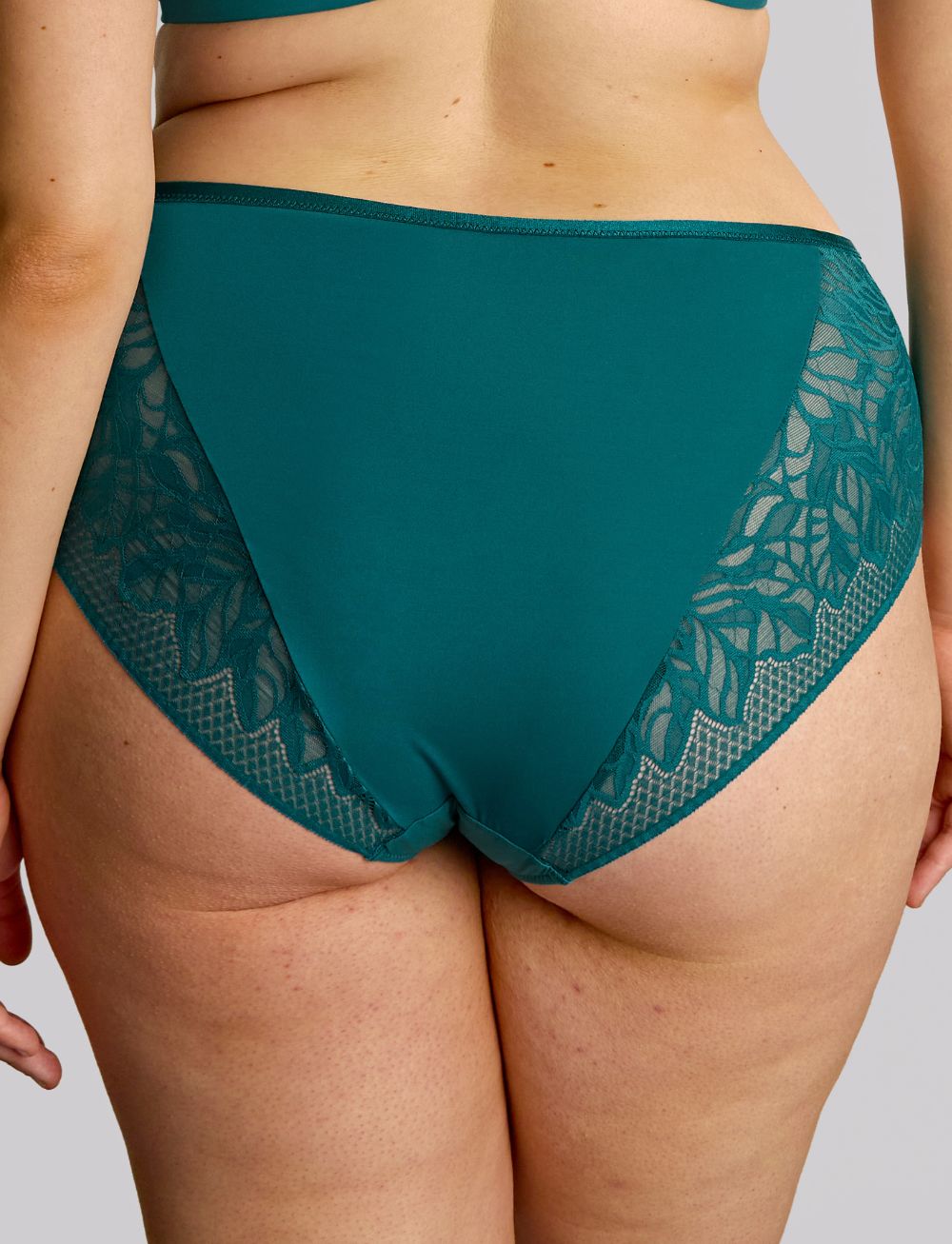 Capri Lingerie, Sleepwear & Swimwear Launceston, Tasmania Sculptresse Sophia Teal Brief 4