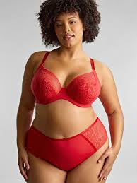 Capri Lingerie, Sleepwear & Swimwear Launceston, Tasmania Sculptresse Sophia Red Brief 2