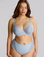 Capri Lingerie, Sleepwear & Swimwear Launceston, Tasmania Sculptresse Sophia Dusky Blue Brief 3