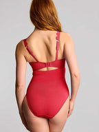 Panache Swim Rita Plunge Suit at Capri Lingerie, Sleepwear & Swimwear Launceston