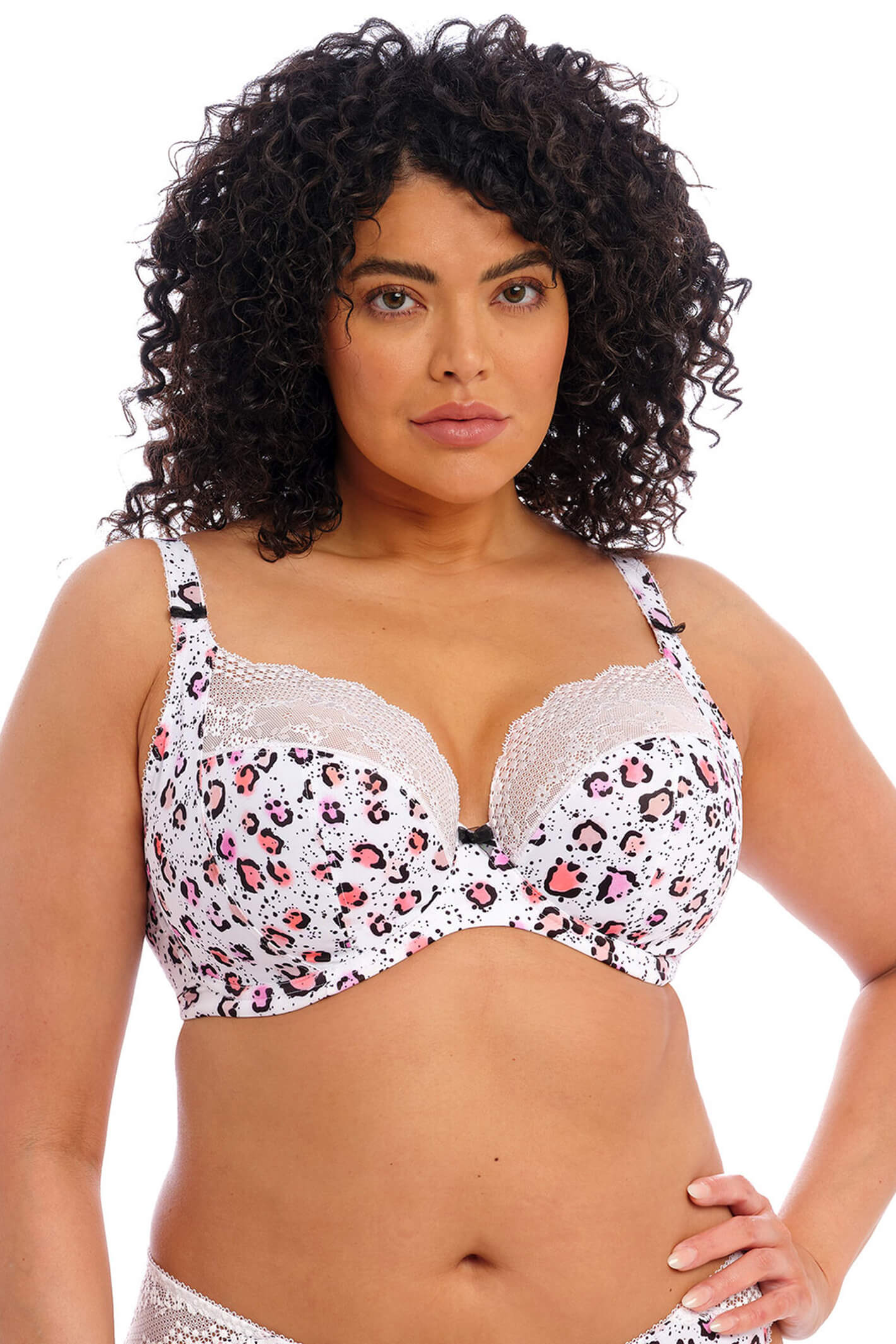 Capri Lingerie, Sleepwear & Swimwear Launceston Tasmania Elomi Lucie White Rumble Plunge Bra