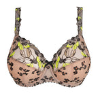 Capri Lingerie Sleepwear & Swimwear Launceston Tasmania
Primadonna Manali Wild Bloom Bra sale Clearance