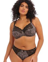 Capri Lingerie Sleepwear & Swimwear Launceston Tasmania Elomi Morgan Ebony Bra