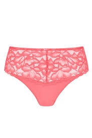Capri Lingerie Sleepwear & Swimwear Launceston Tasmania Amoena Glenda Flamingo Brief