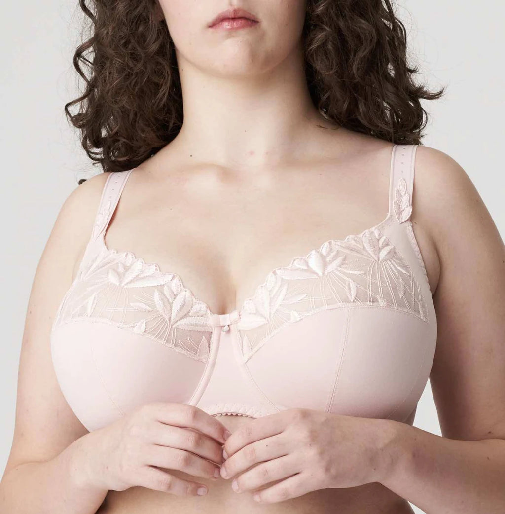 Primadonna Orlando Bra