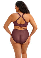Capri Lingerie, Sleepwear & Swimwear Launceston Tasmania Elomi Matilda Sugar Plum Plunge Bra
