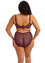 Capri Lingerie, Sleepwear & Swimwear Launceston Tasmania Elomi Matilda Sugar Plum Plunge Bra