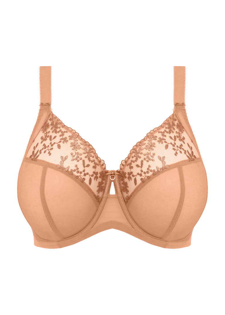 Capri Lingerie, Sleepwear & Swimwear Launceston Tasmania Elomi Zarla Bra