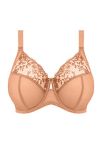 Capri Lingerie, Sleepwear & Swimwear Launceston Tasmania Elomi Zarla Bra