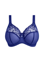 Capri Lingerie, Sleepwear & Swimwear Launceston Tasmania Elomi Zarla Bra