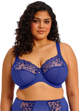 Load image into Gallery viewer, Elomi Zarla Sapphire Underwire Bra
